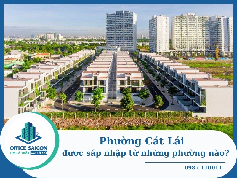 Phường Cát Lái TPHCM sau sáp nhập: Ranh giới, diện tích & dân số