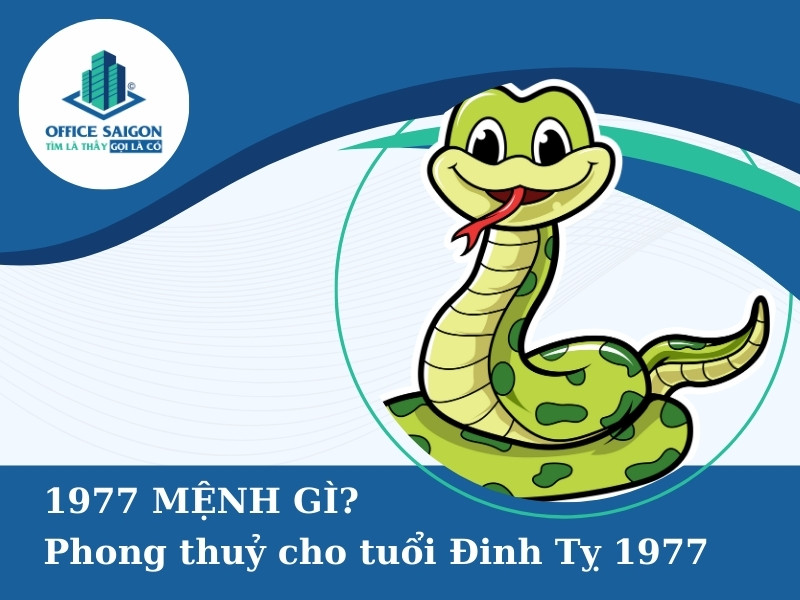 dinh ty 1977