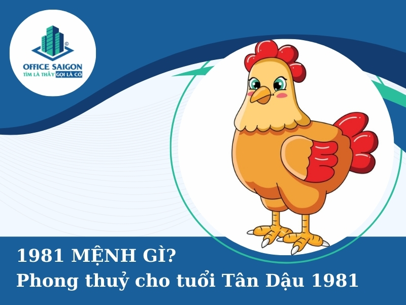 1981 menh gi