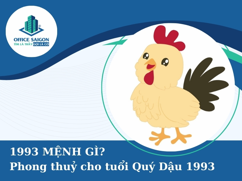 quy dau 1993