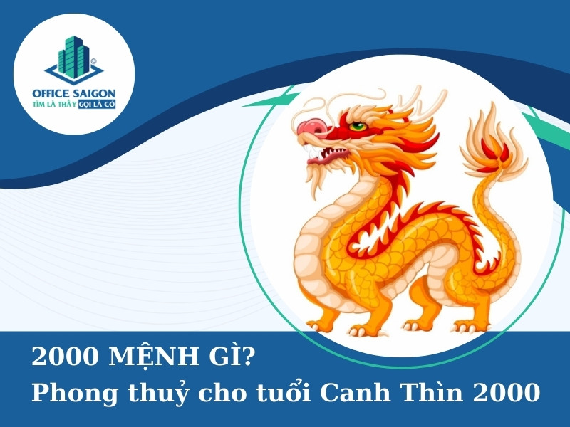 canh thin 2000