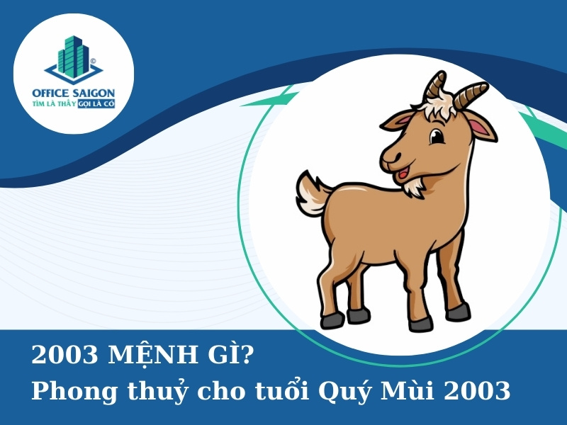 quy mui 2003