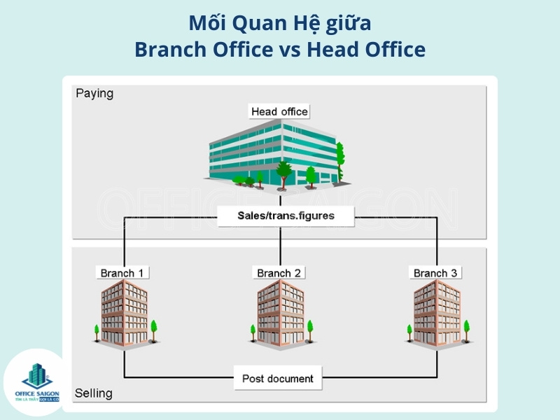 mối quan hệ của Branch Office và Head Office