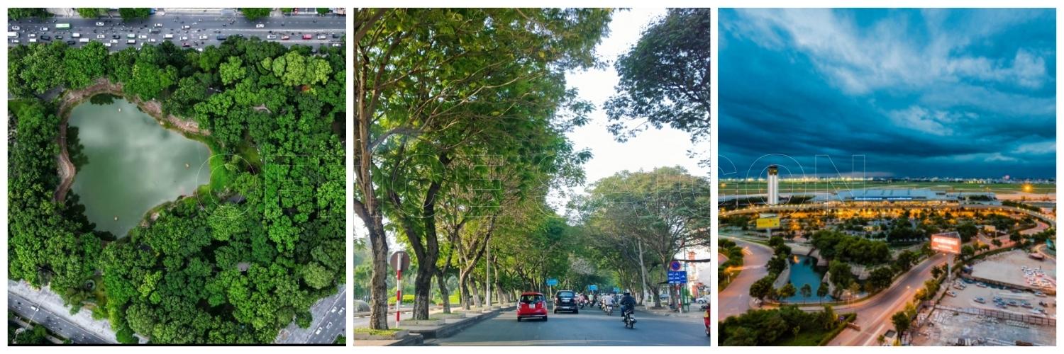 Vị trí tòa nhà Park IX Office Tân Bình